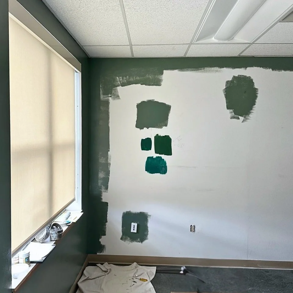 Interior painting of an office. Color is Behr Boreal N420-5.

#newlook #paint #mainecontractor #generalcontractor #maine #interiorpainting #painting #behr #boreal #behrboreal
