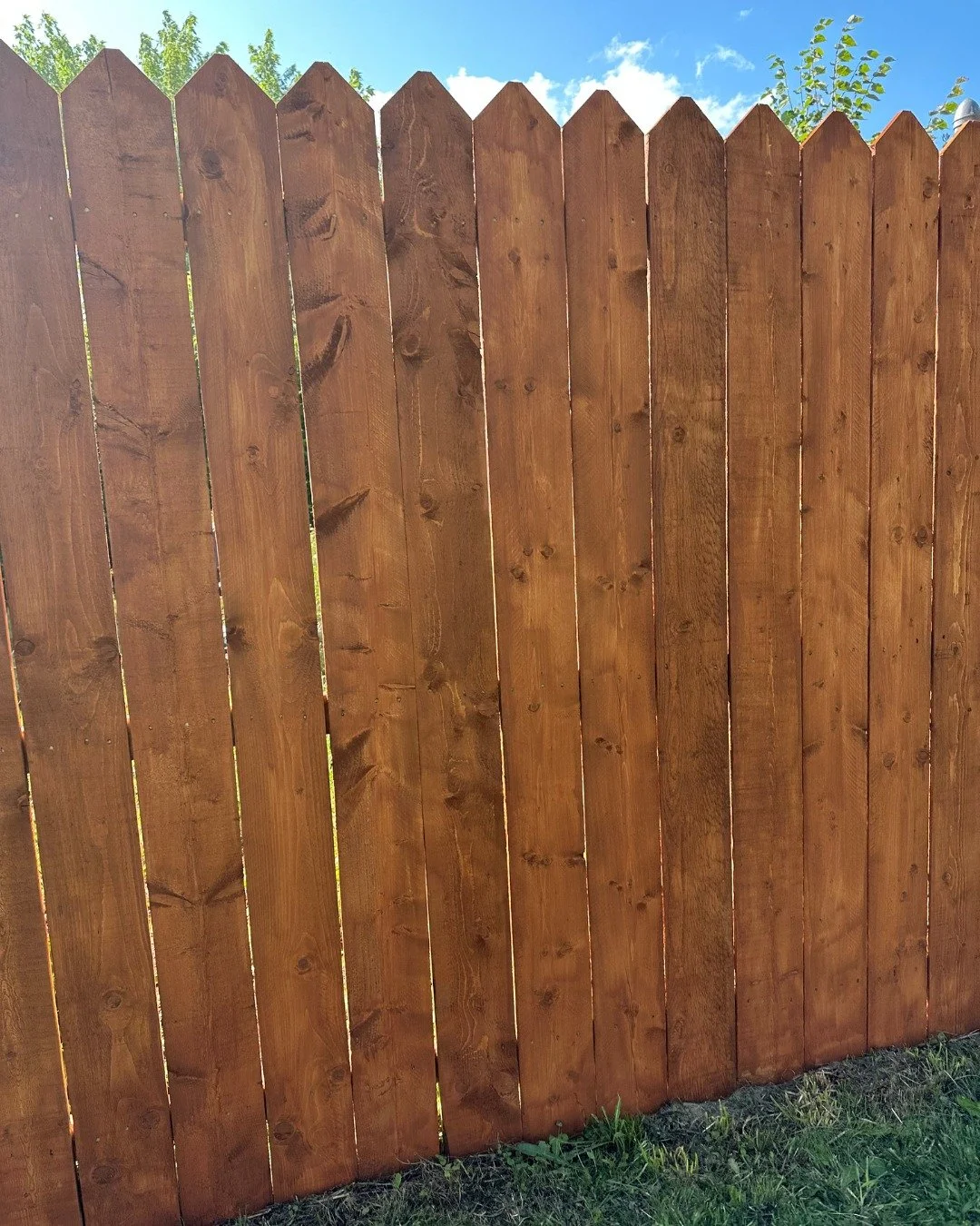 The fence turned out so good, the neighbors asked us to replace theirs too. If you're thinking about putting a fence in, reach out!
.
.
.
.
.
.
.
#fencebuilding #mainecontractor #stainingwood