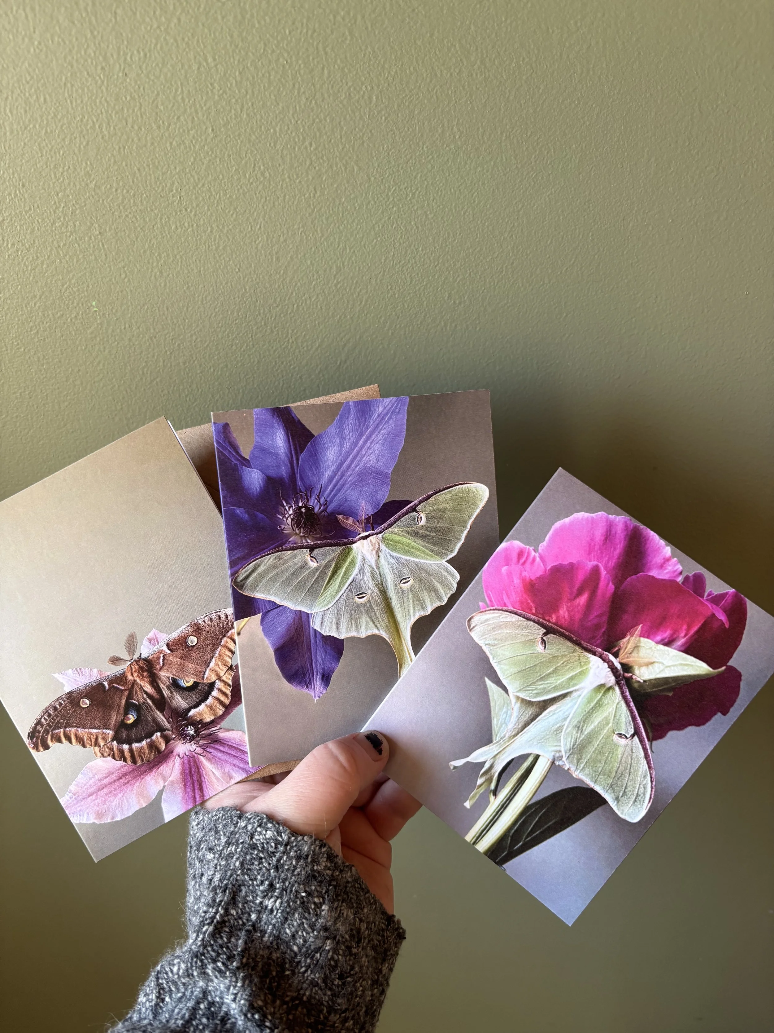 Greeting Cards 4x5