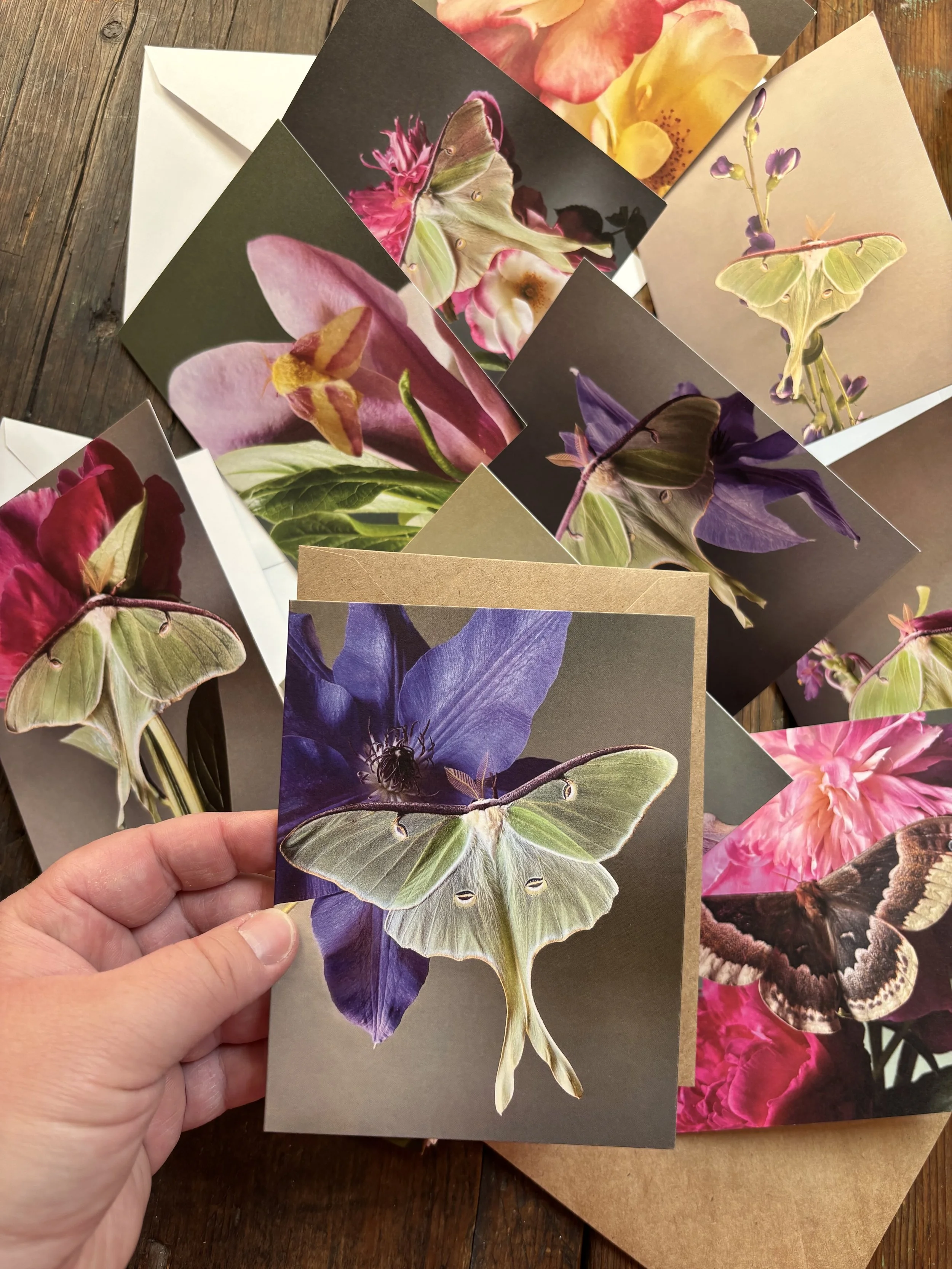 Greeting Cards 5x5