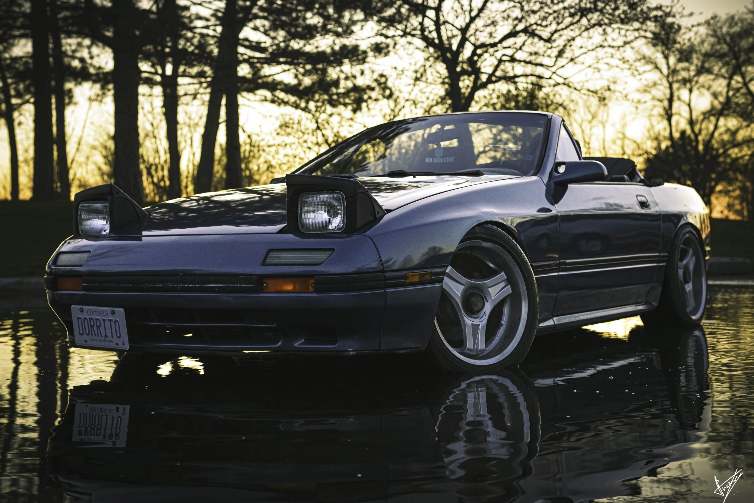 Copy of _DSC8937.jpg