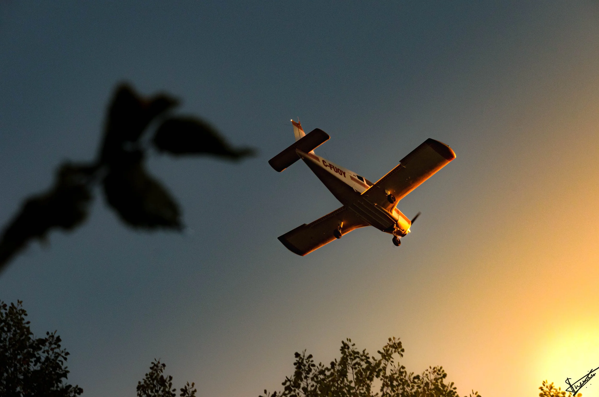 Copy of _DSC0095.jpg