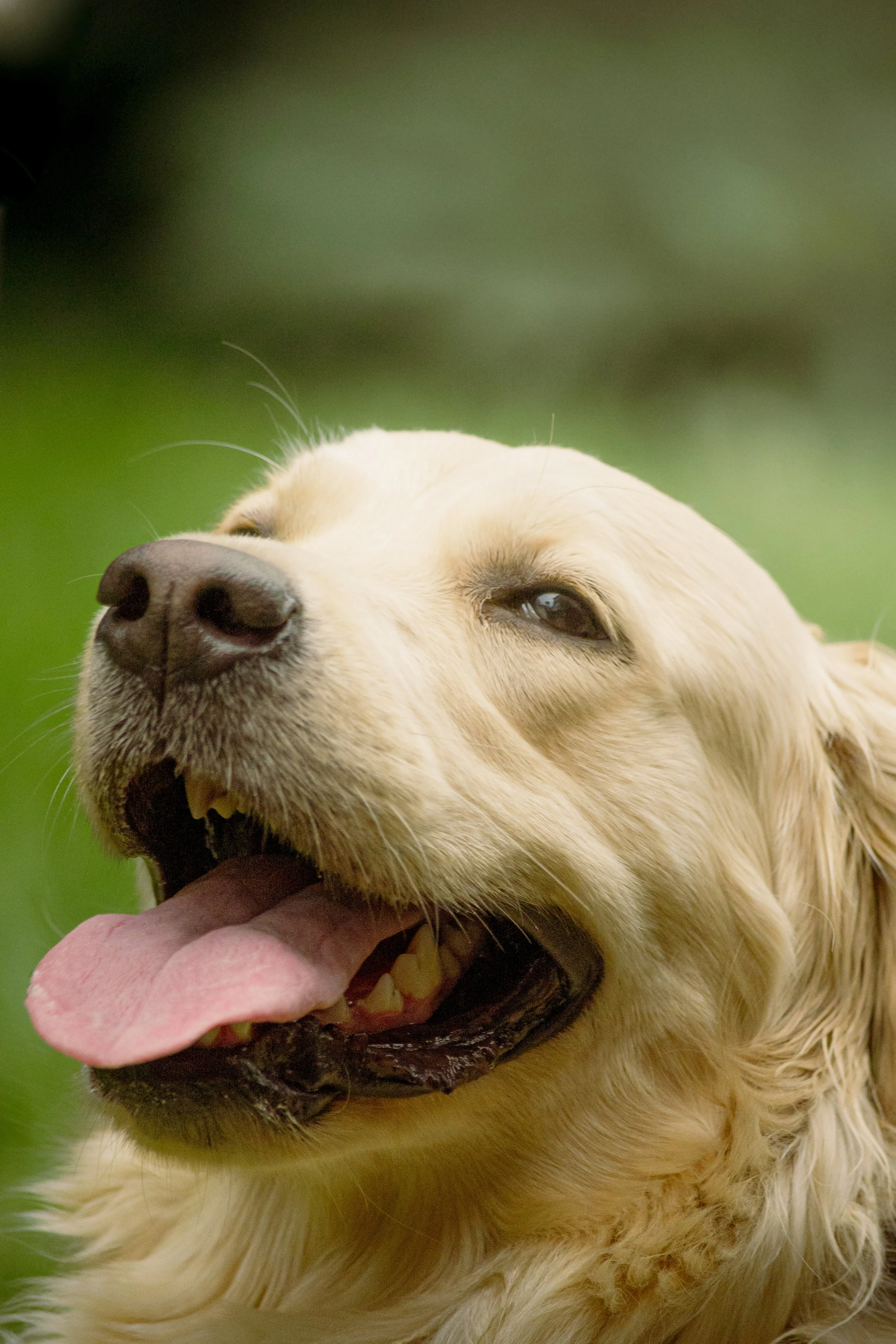 Copy of _DSC9982.JPG