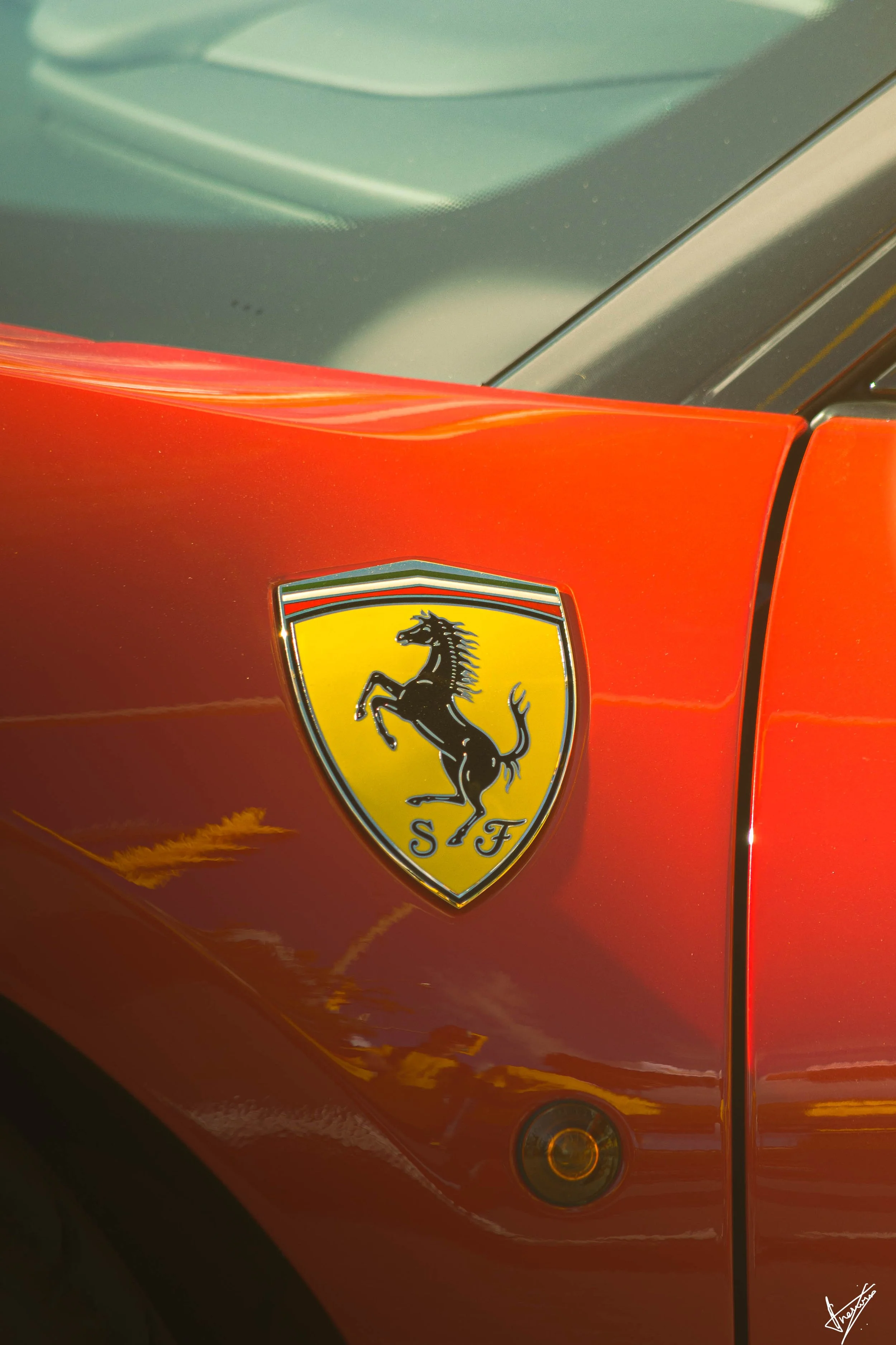 Copy of _DSC7307.jpg