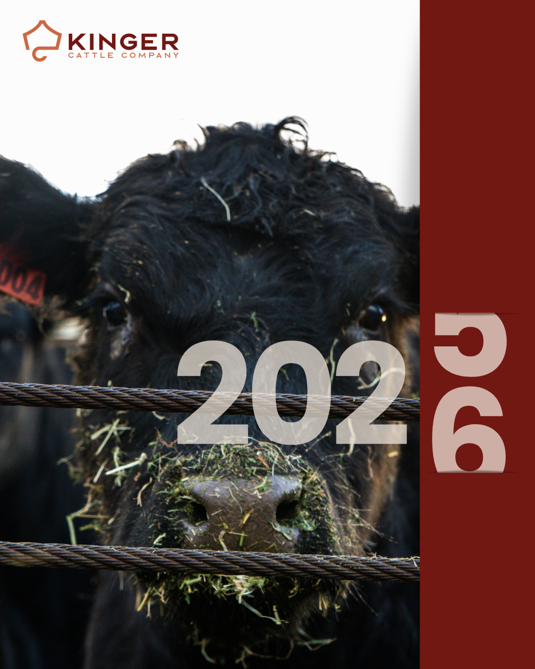 2025 recap: A letter from our team