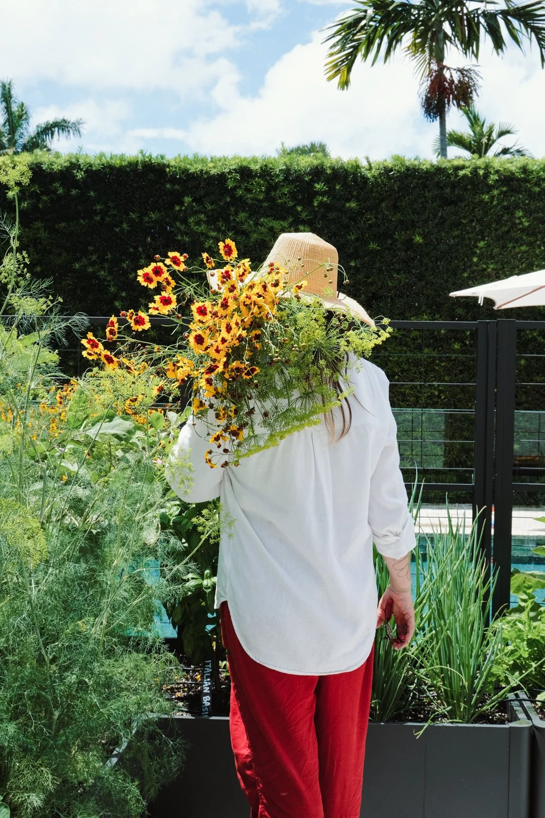 landscape-design-vegetable-garden-miami-beach-pollinators-cut-flowers.jpg