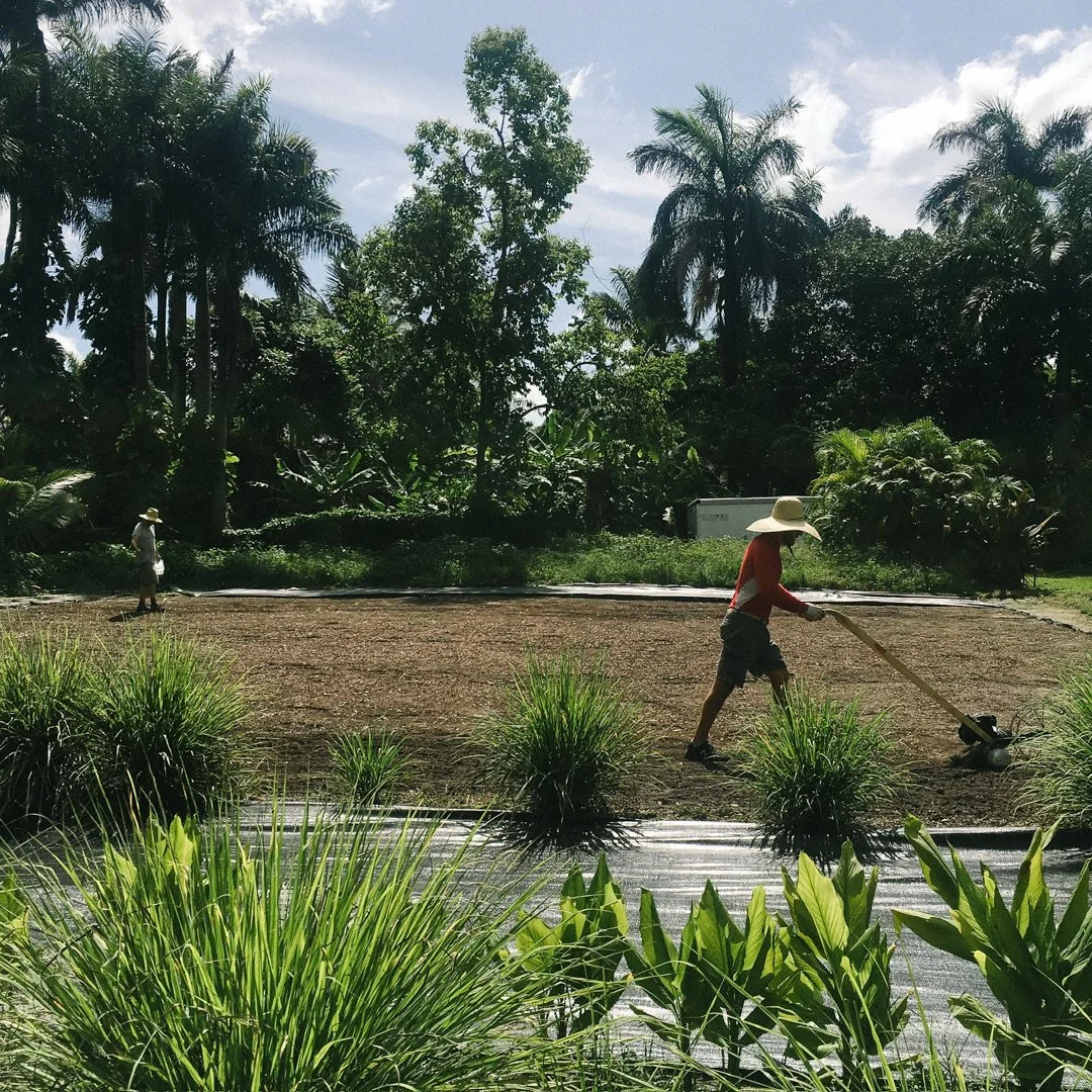 urban farm small tools north miami .jpg
