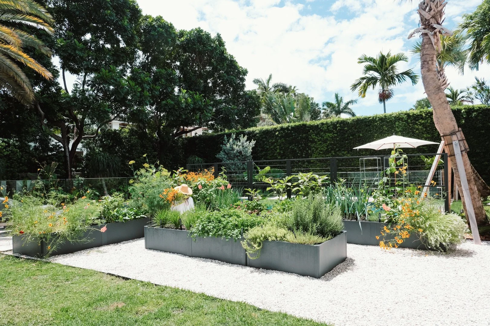 landscape-design-vegetable-garden-south-beach-overview.jpg