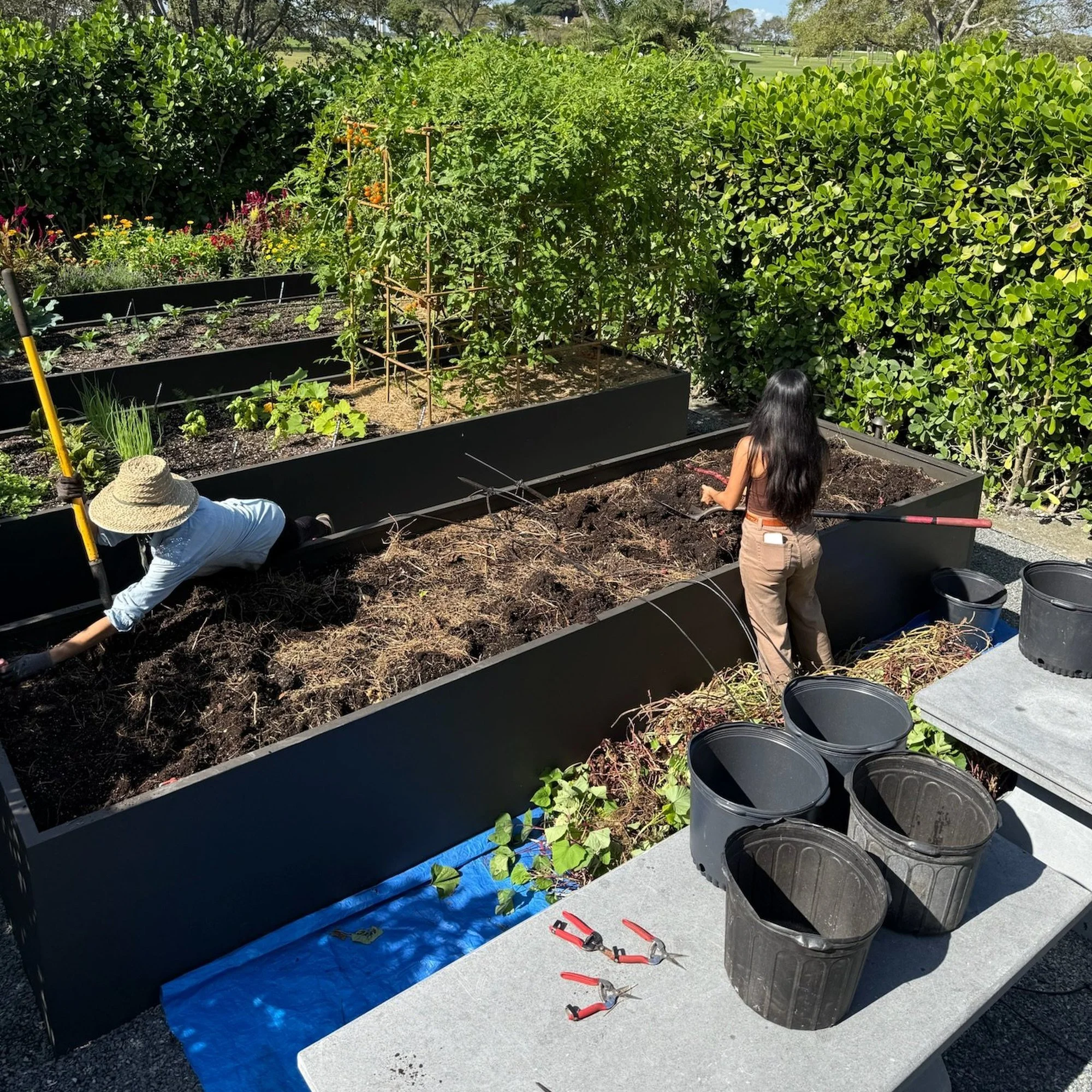 lrc-garden-06.jpg
