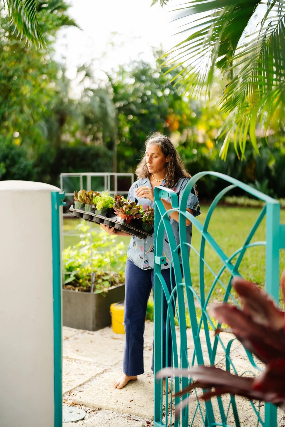 250212 _ LITTLE RIVER _ CG-49.jpg