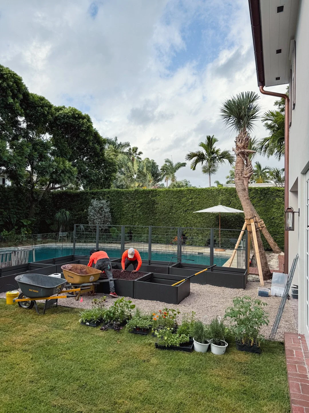 landscape-design-vegetable-garden-south-beach-before-and-after.jpg
