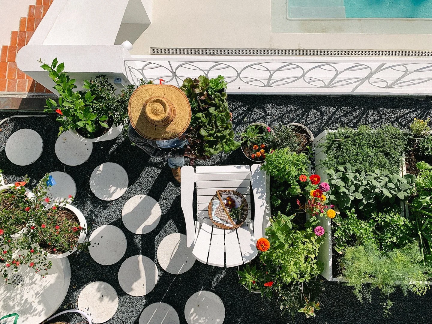 rooftop balcony pots vegetable herb garden miami beach.jpg