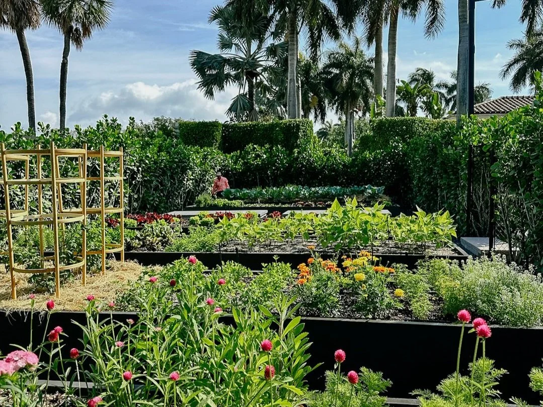 miami+estate+residential+vegetable+and+flower+garden.jpg