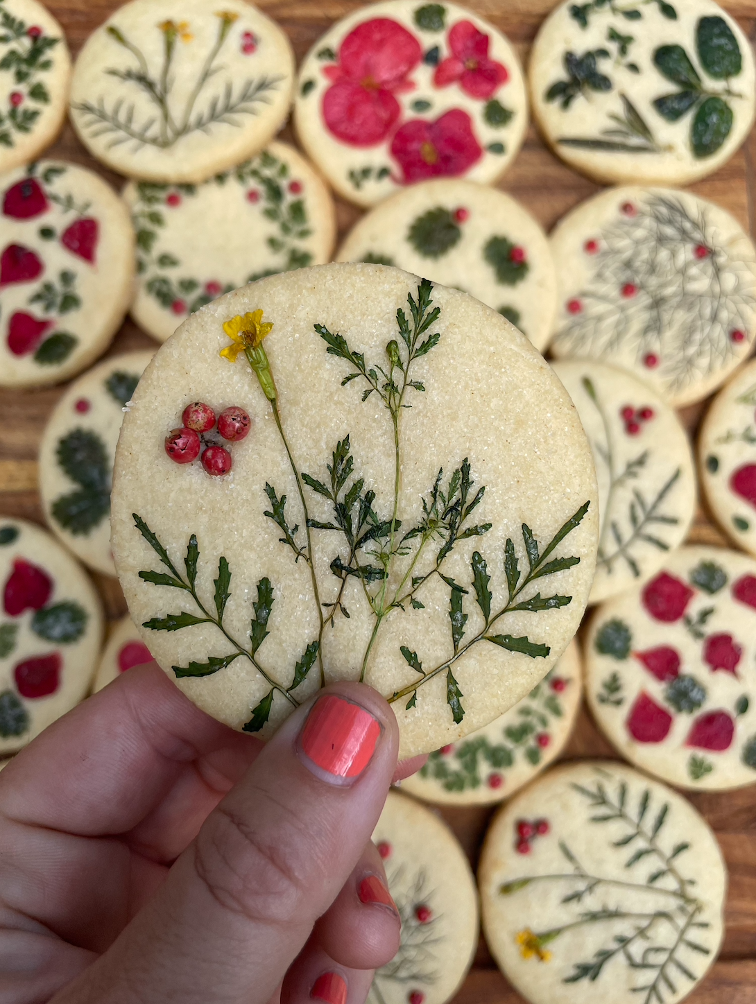 Screenshot 2026-02-04 at 9.55.35 AM.png