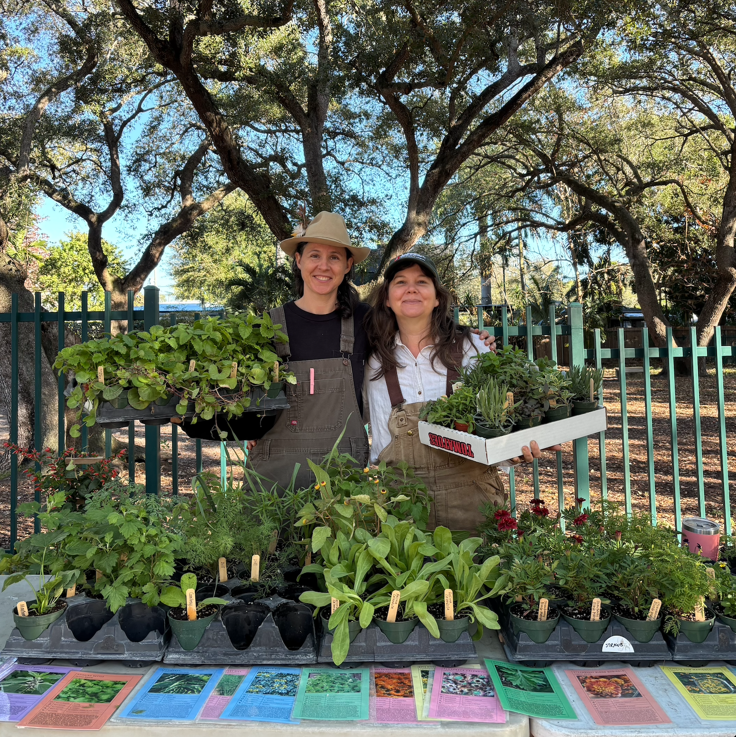 Legion Park Farmers Market 