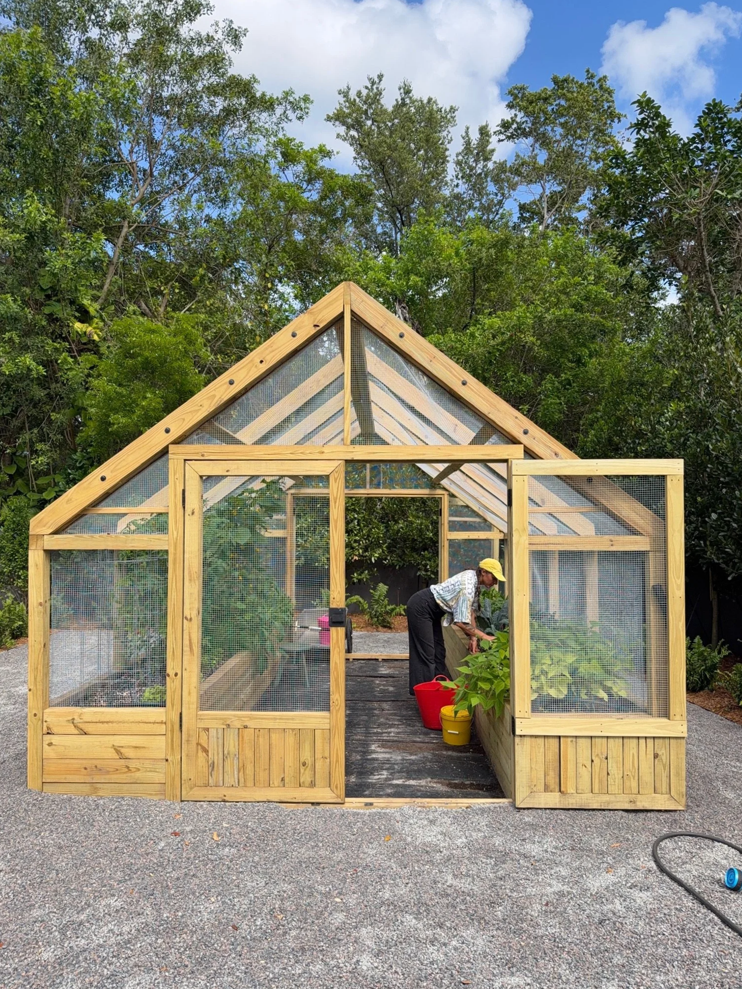 Gardener tending plants inside the wooden enclosed kitchen garden in Pinecrest, with both screened doors open