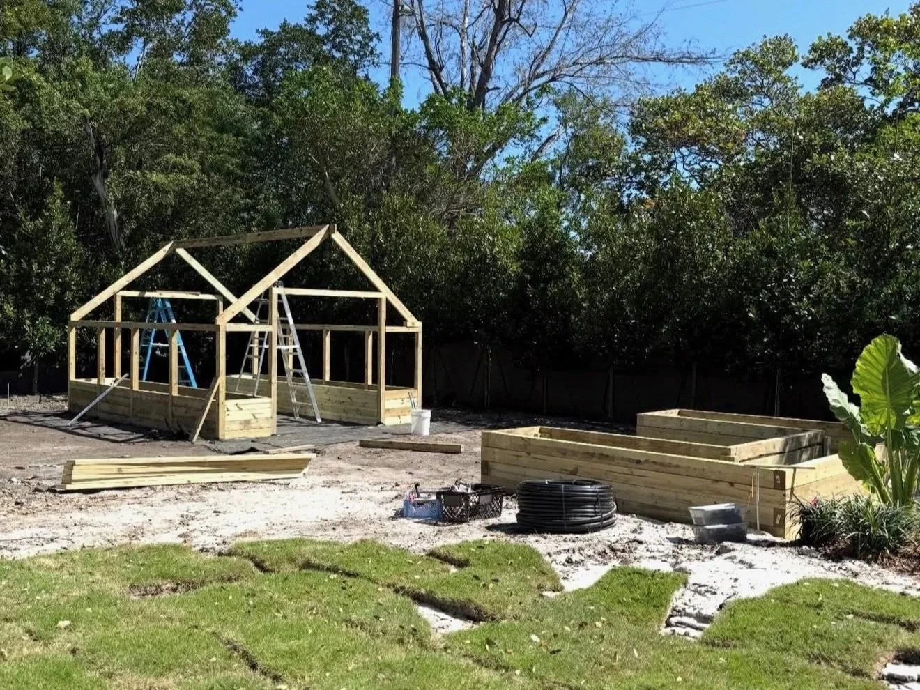 Wooden frame of the enclosed kitchen garden under construction, with new raised planters and fresh sod in the foreground