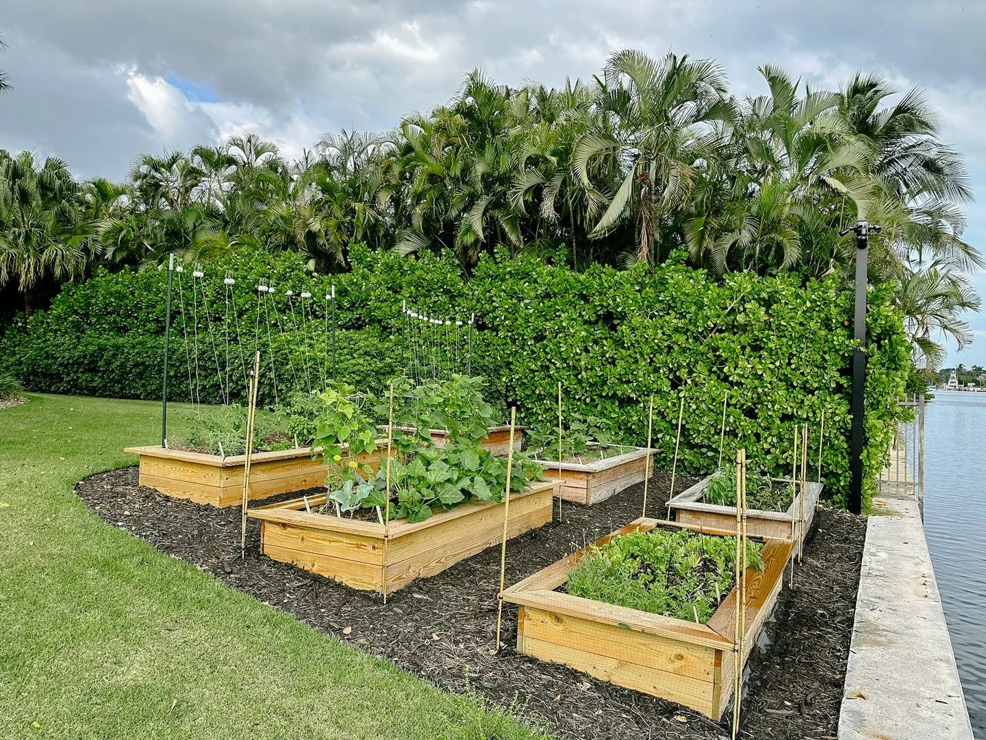 large kitchen garden coral gables miami.jpg