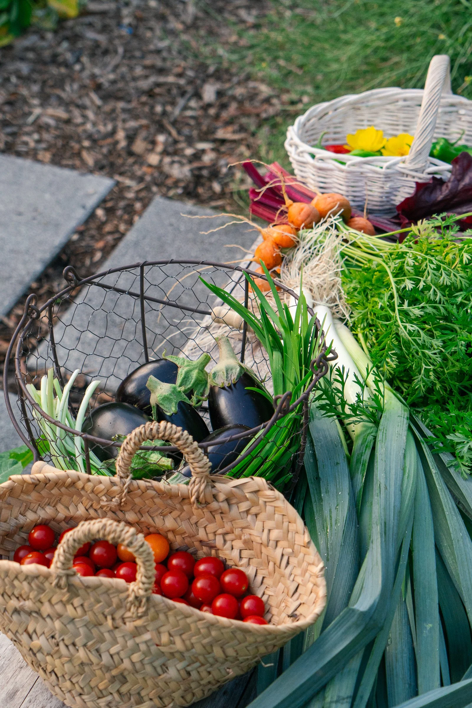 garden-design-kitchen-garden-miami-vegetable-bed-harvest.JPG