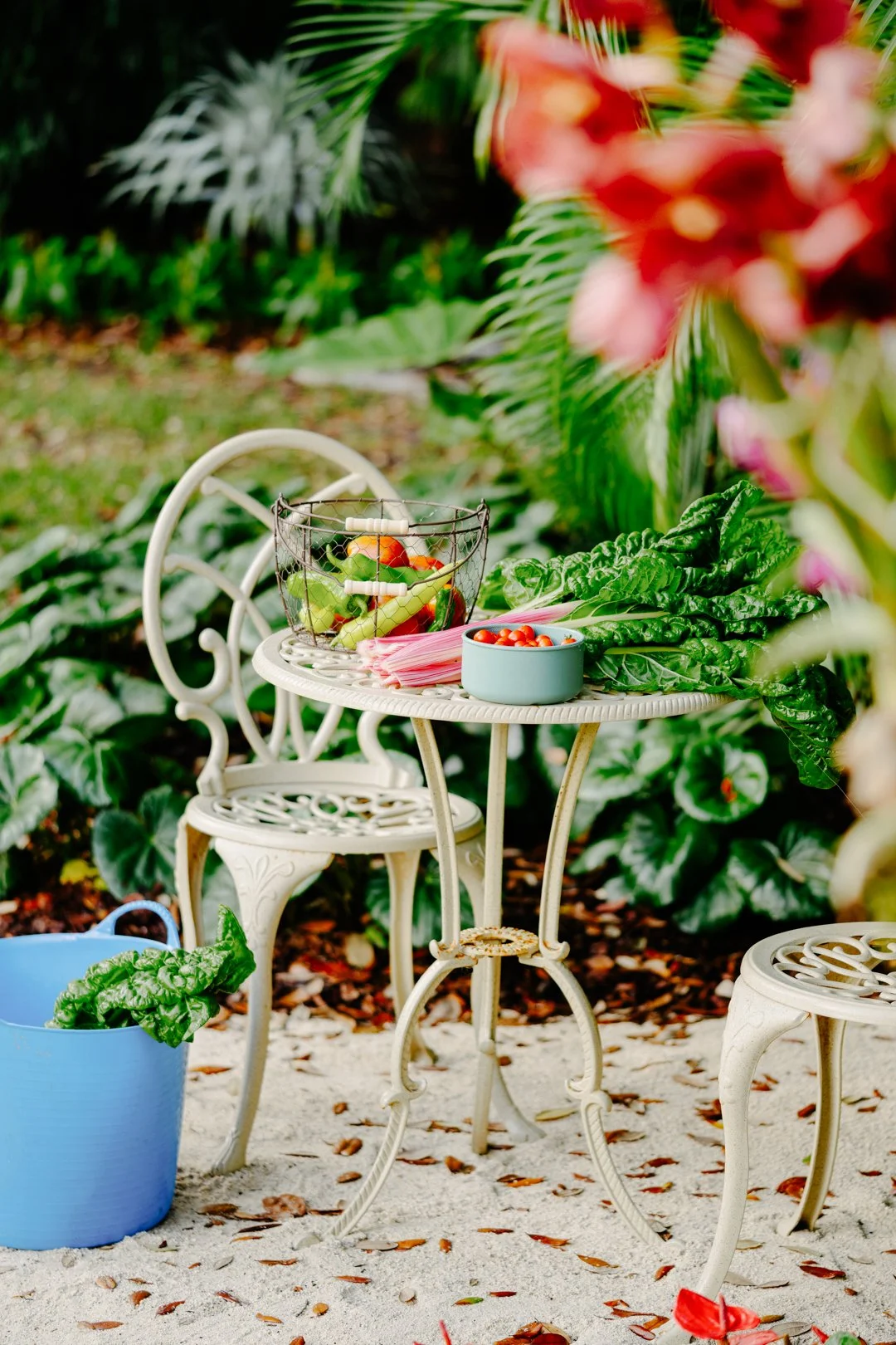 250212 _ LITTLE RIVER _ CG-13.jpg