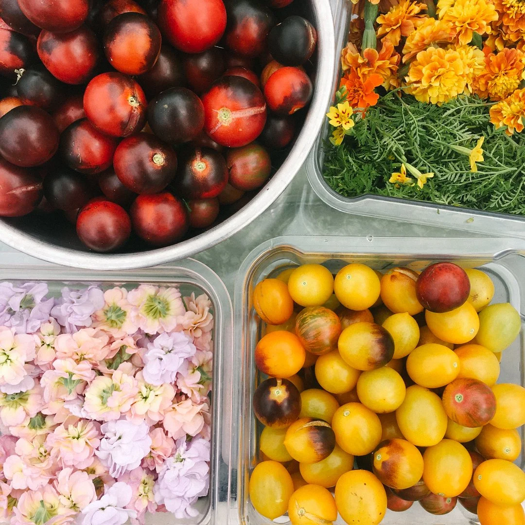 heirloom tomato and edible flower harvest planta miami beach.jpg