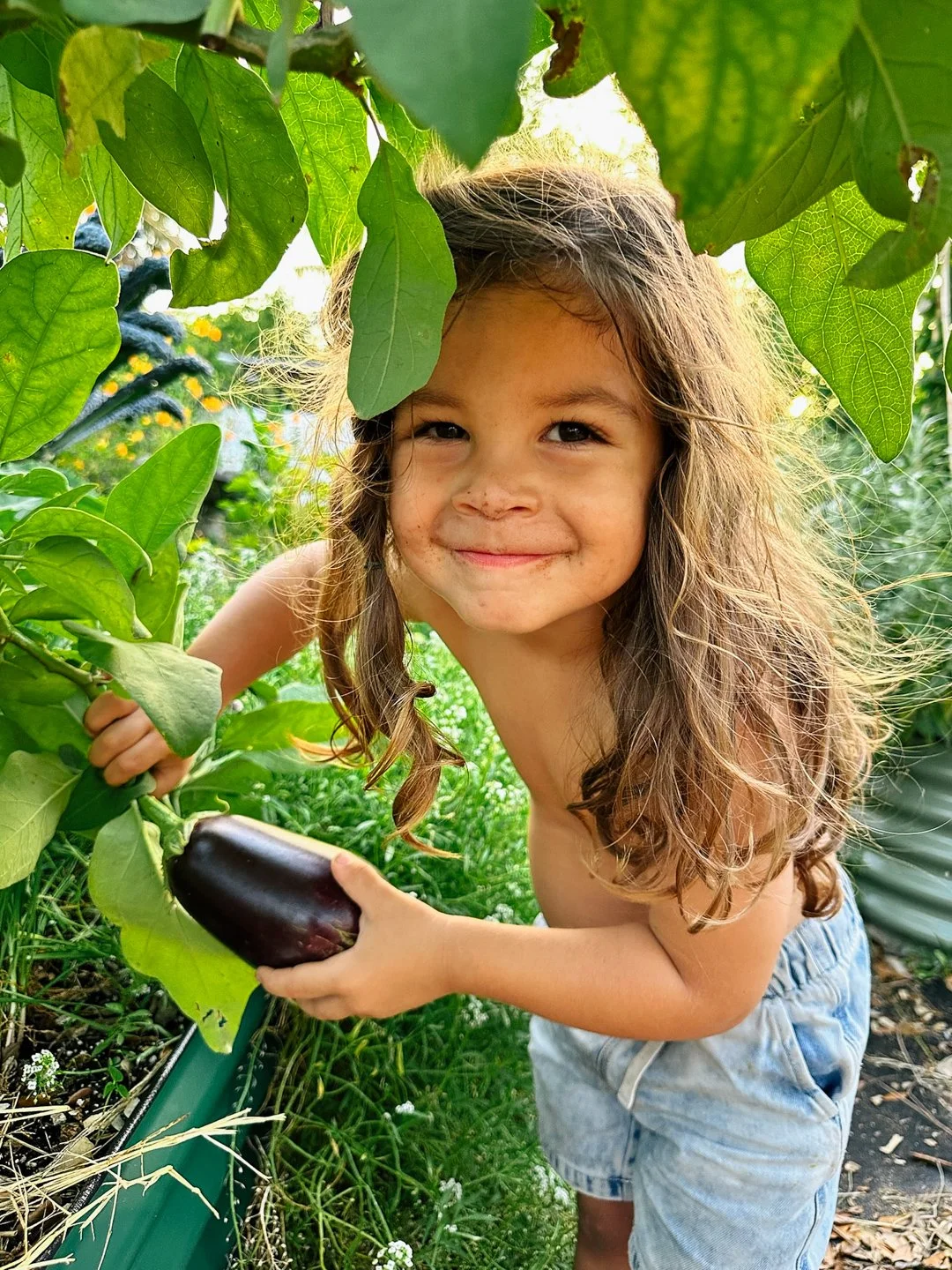 kid friendly vegetable raised bed gardening north miami.jpg