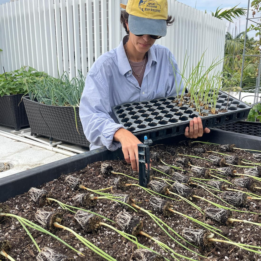 Screen Shot 2025-09-16 at 12.09.02 PM.png