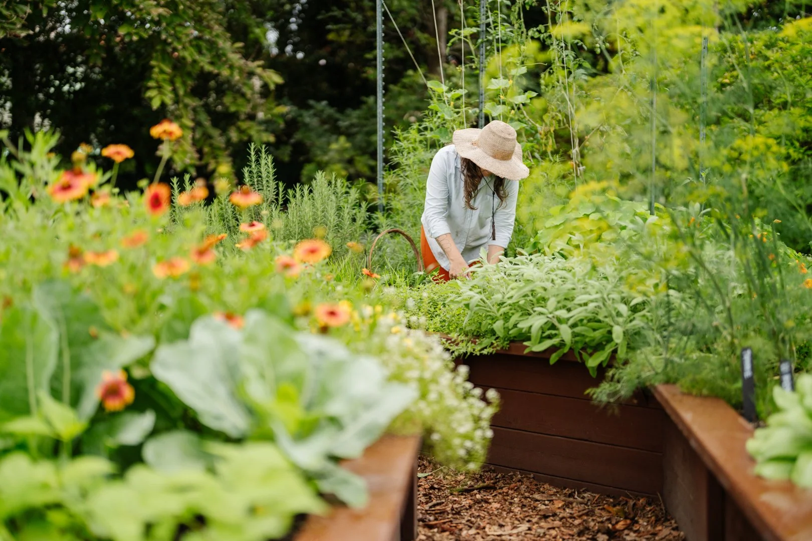 250223 _ little river _ sunset-30.jpg