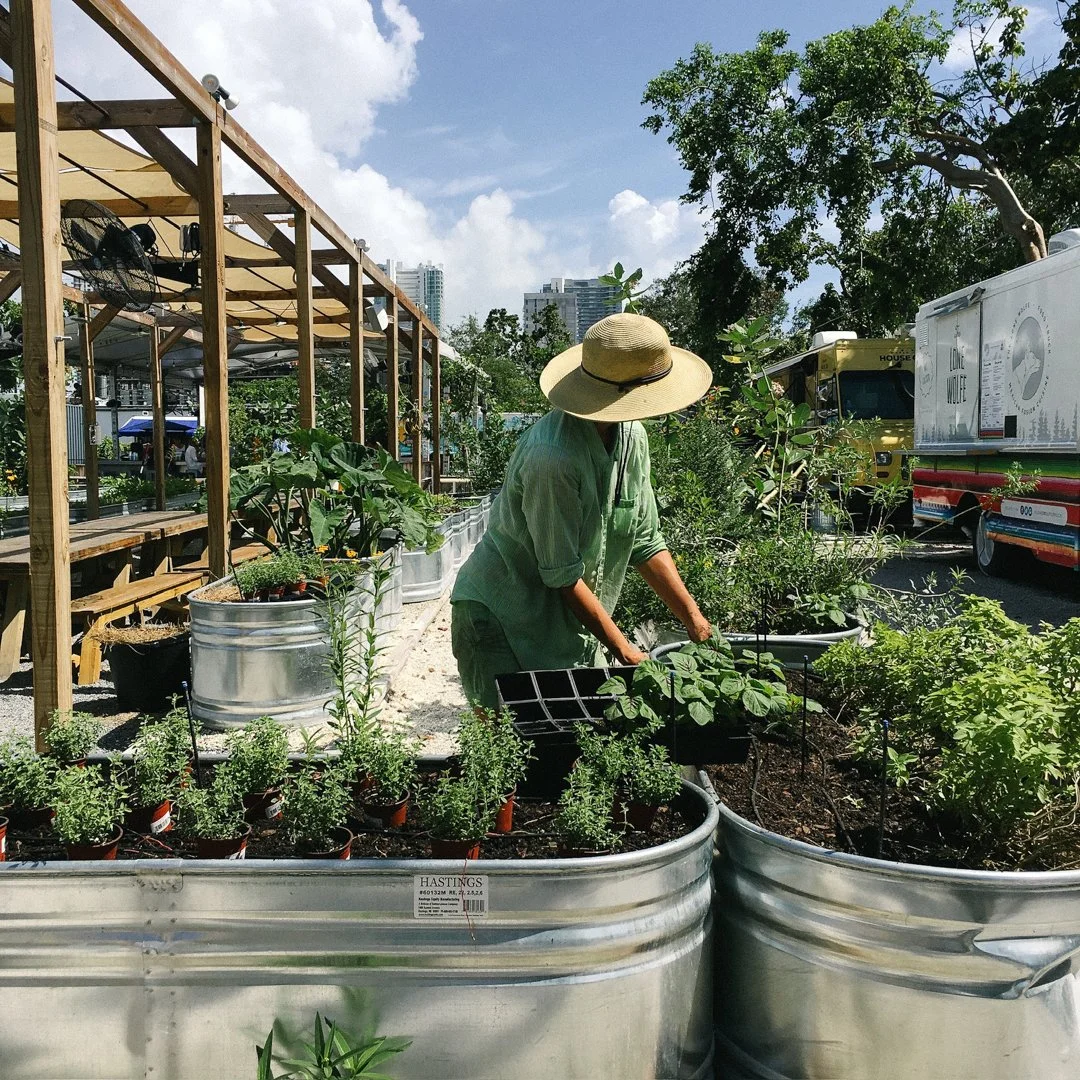 wynwood yard kitchen edible garden stocktank.jpg
