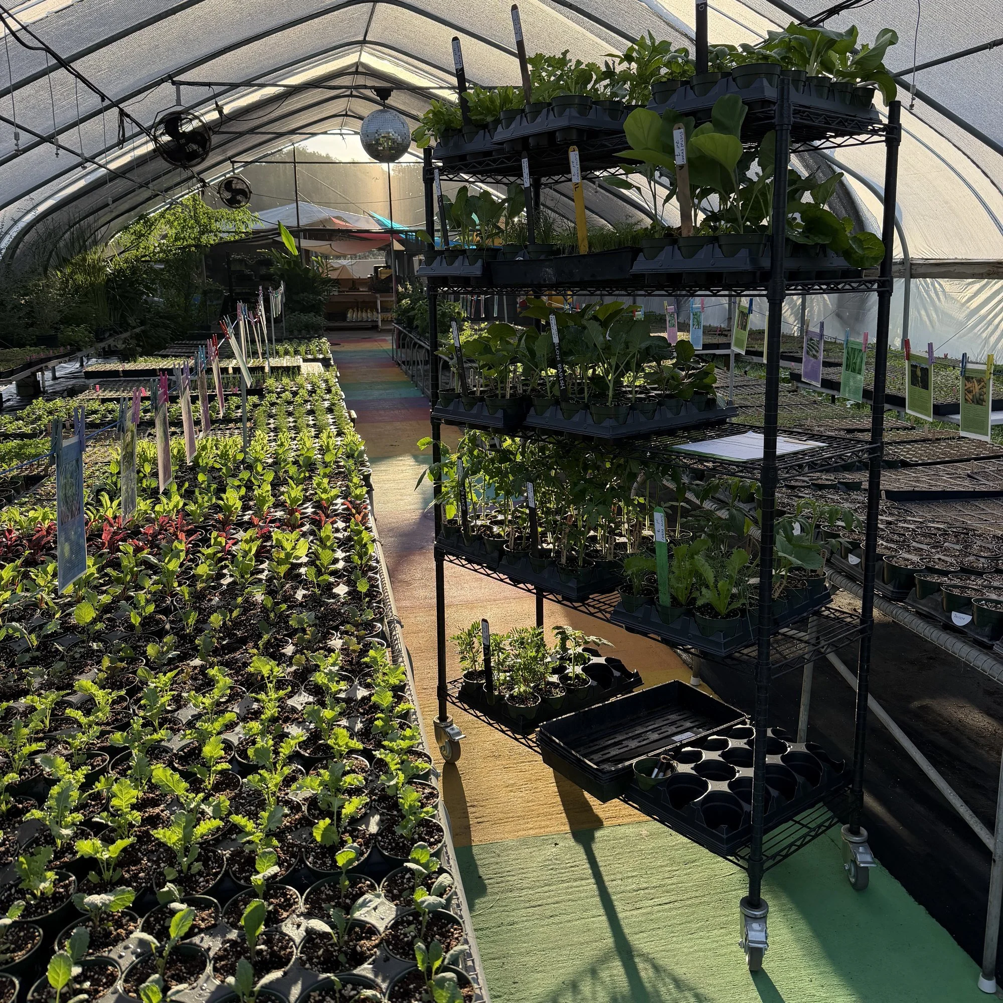 lrc-garden-09.jpg
