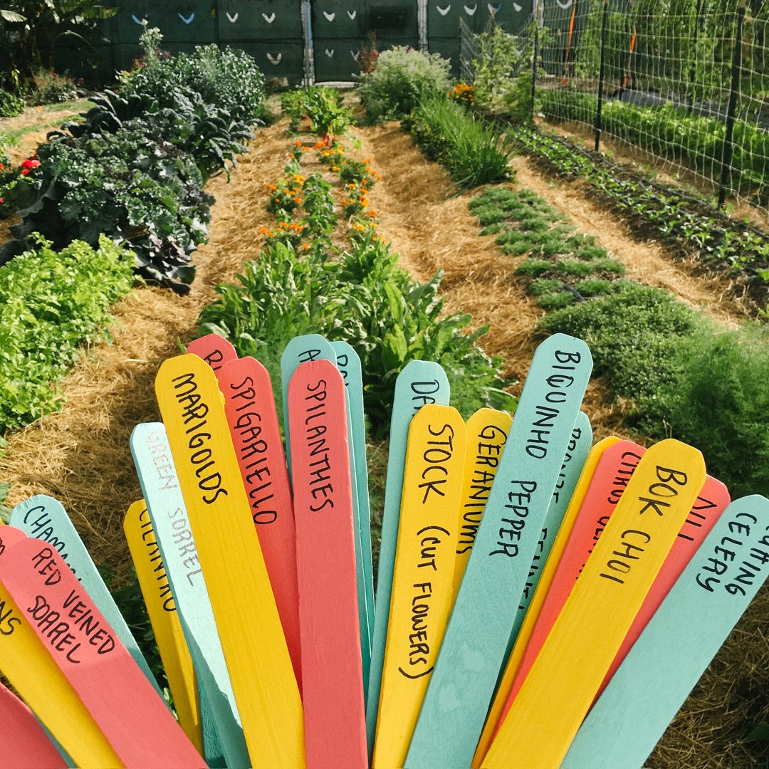 custom plant name labels garden miami.jpg