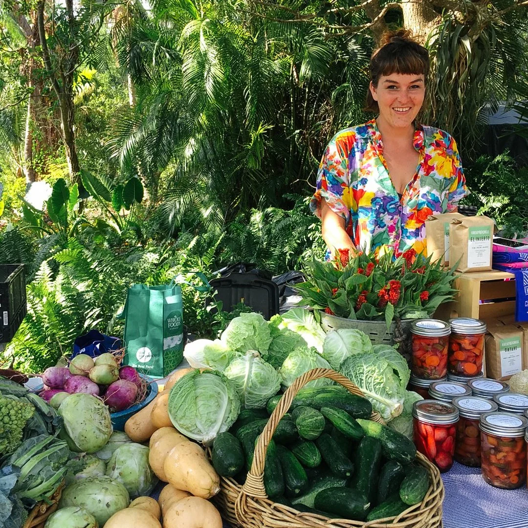 little river cooperative vegetable stand north miami.jpg