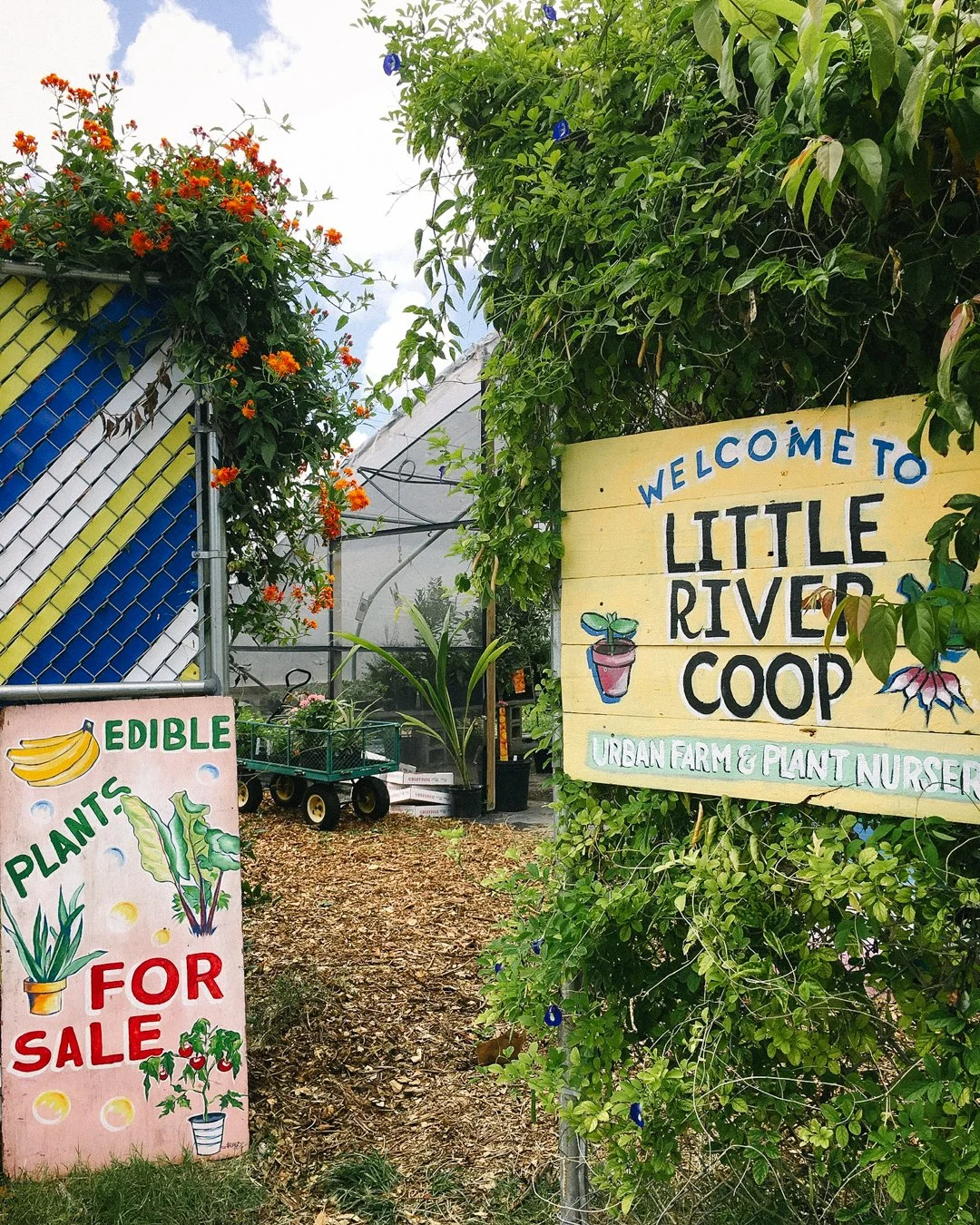 little river cooperative miami entrance.jpg