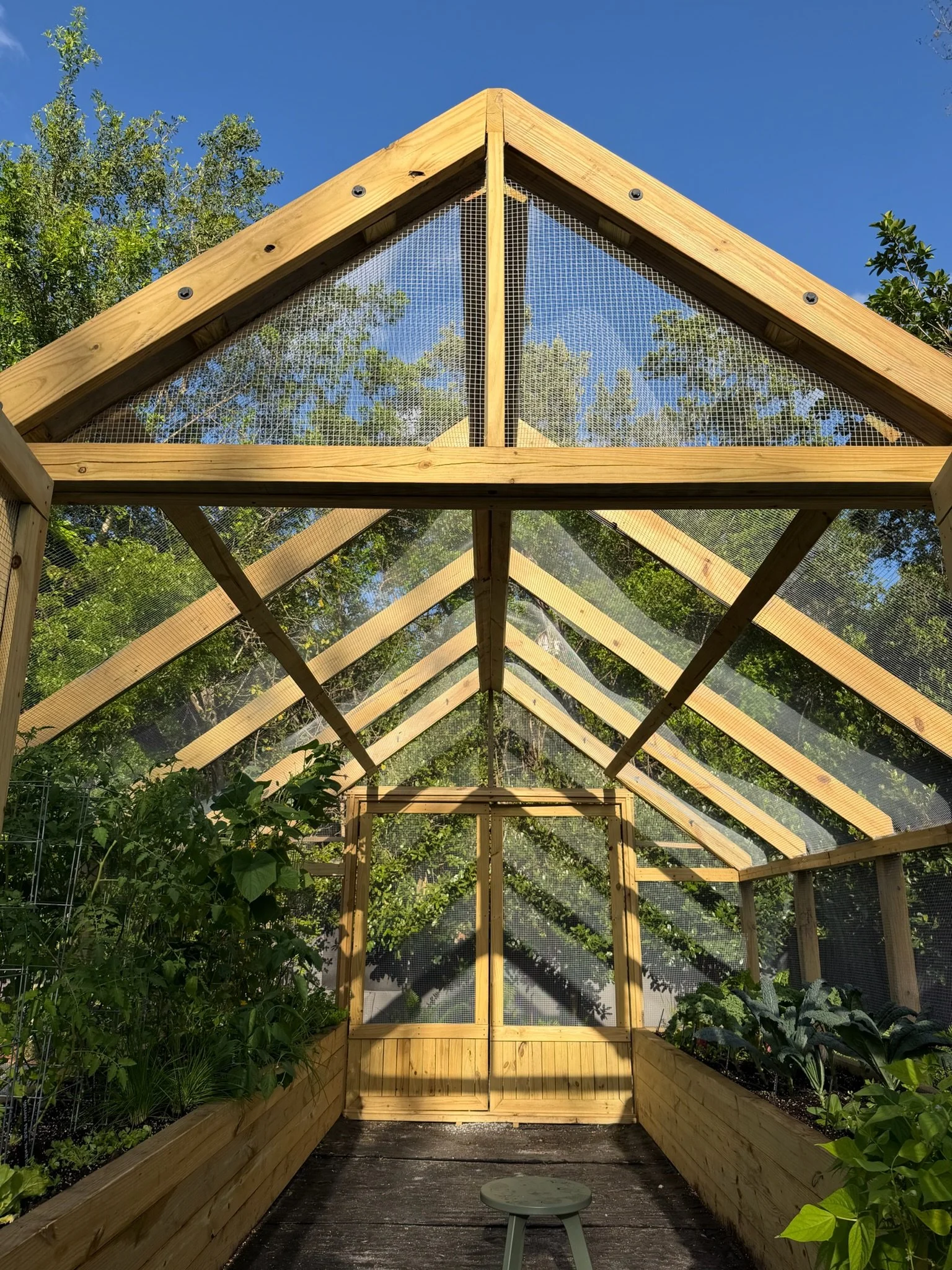 Looking up at the wooden roof framing and protective mesh of the iguana-proof garden enclosure