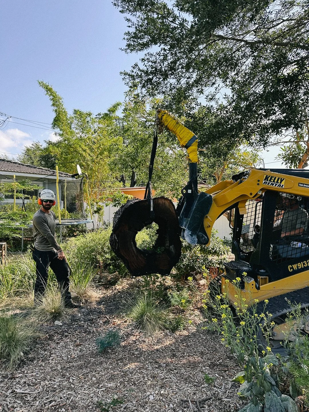 native pollinator landscaping miami.jpg