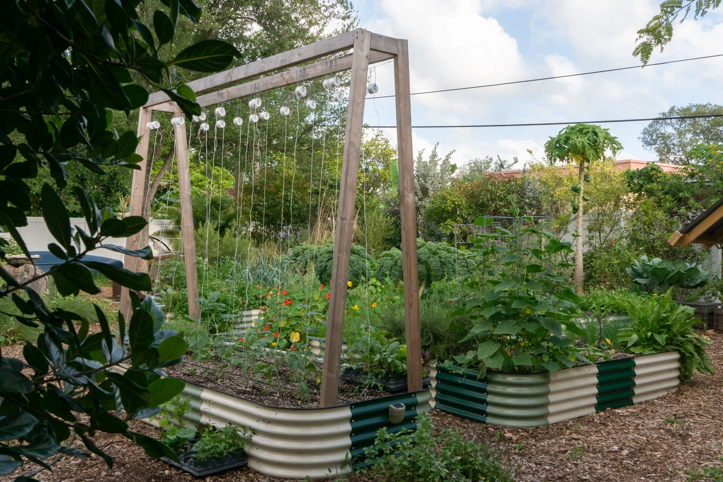 garden-design-kitchen-garden-miami-back-yard-raised beds-overview.jpg