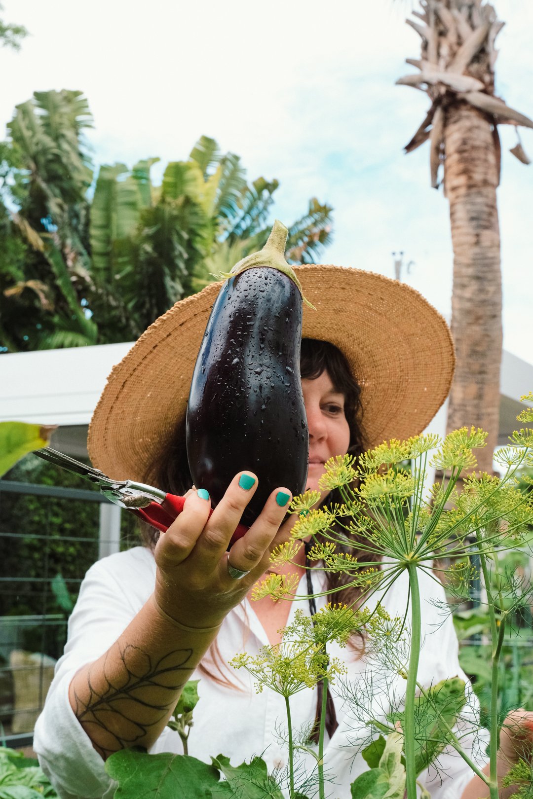 landscape-design-vegetable-garden-south-beach-harvested-eggplant.jpg