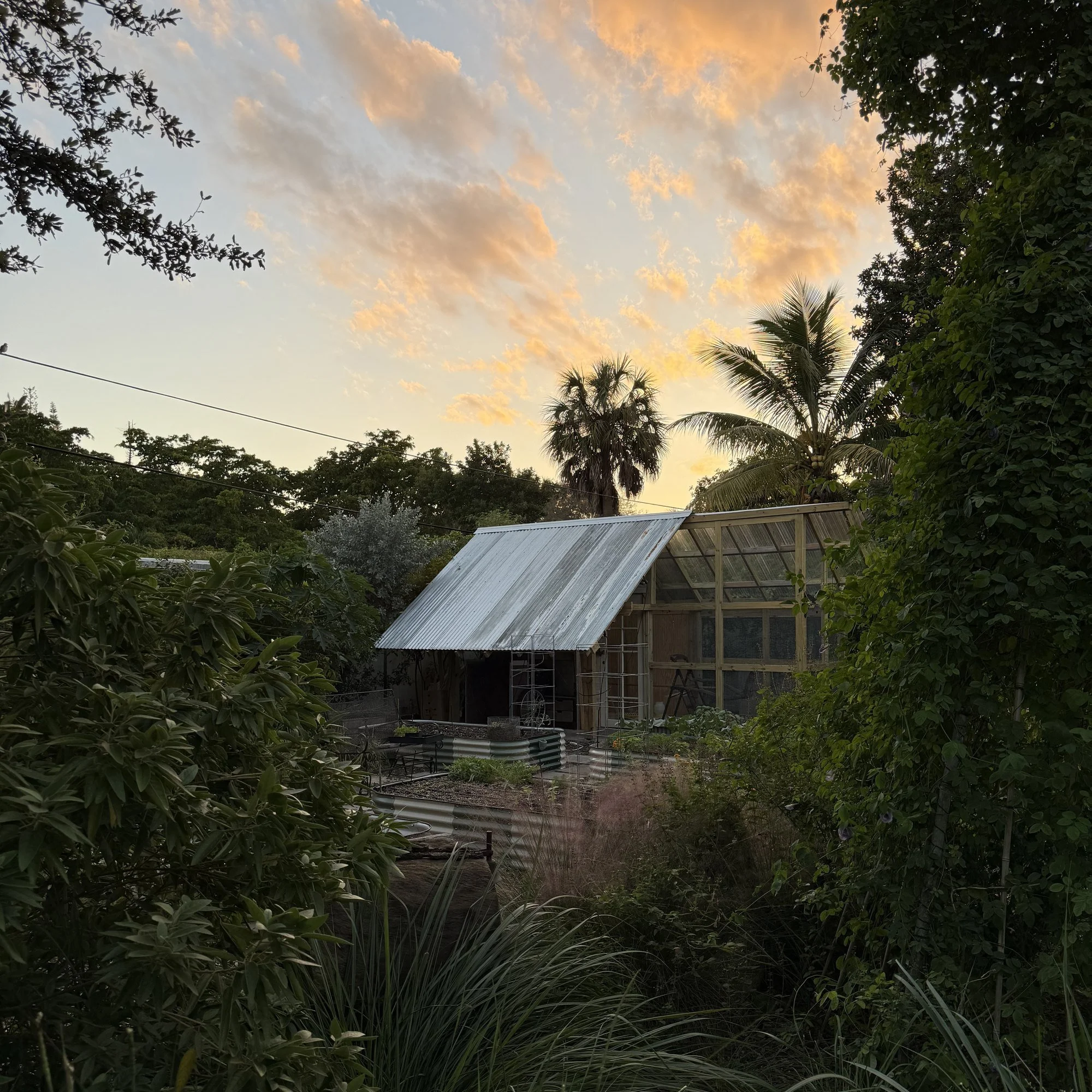 lrc-garden-10.jpg