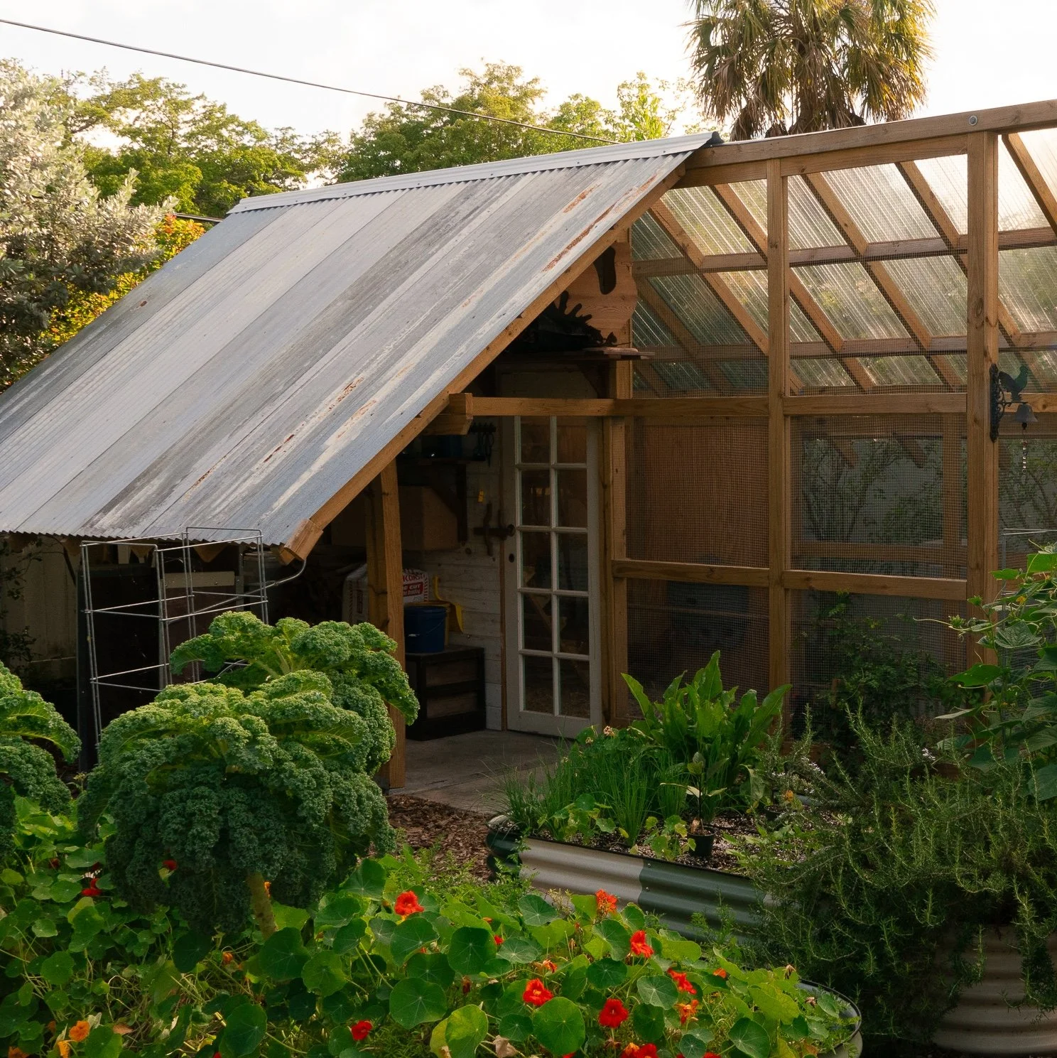 garden-design-kitchen-garden-miami-chicken-coop-overview.jpeg