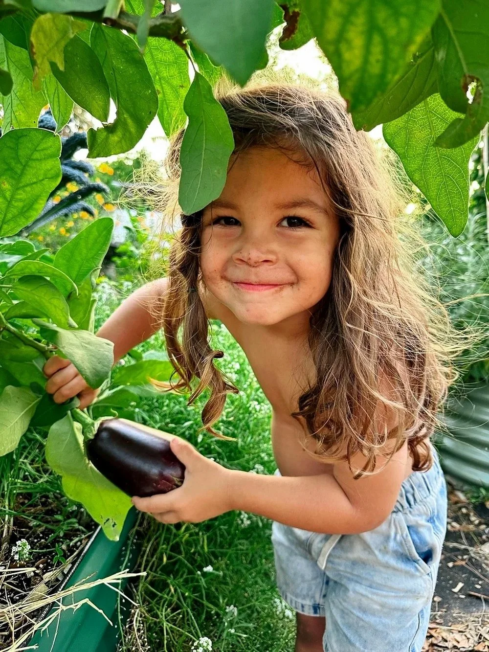garden-design-kitchen-garden-miami-family-friendly-toddler.jpeg