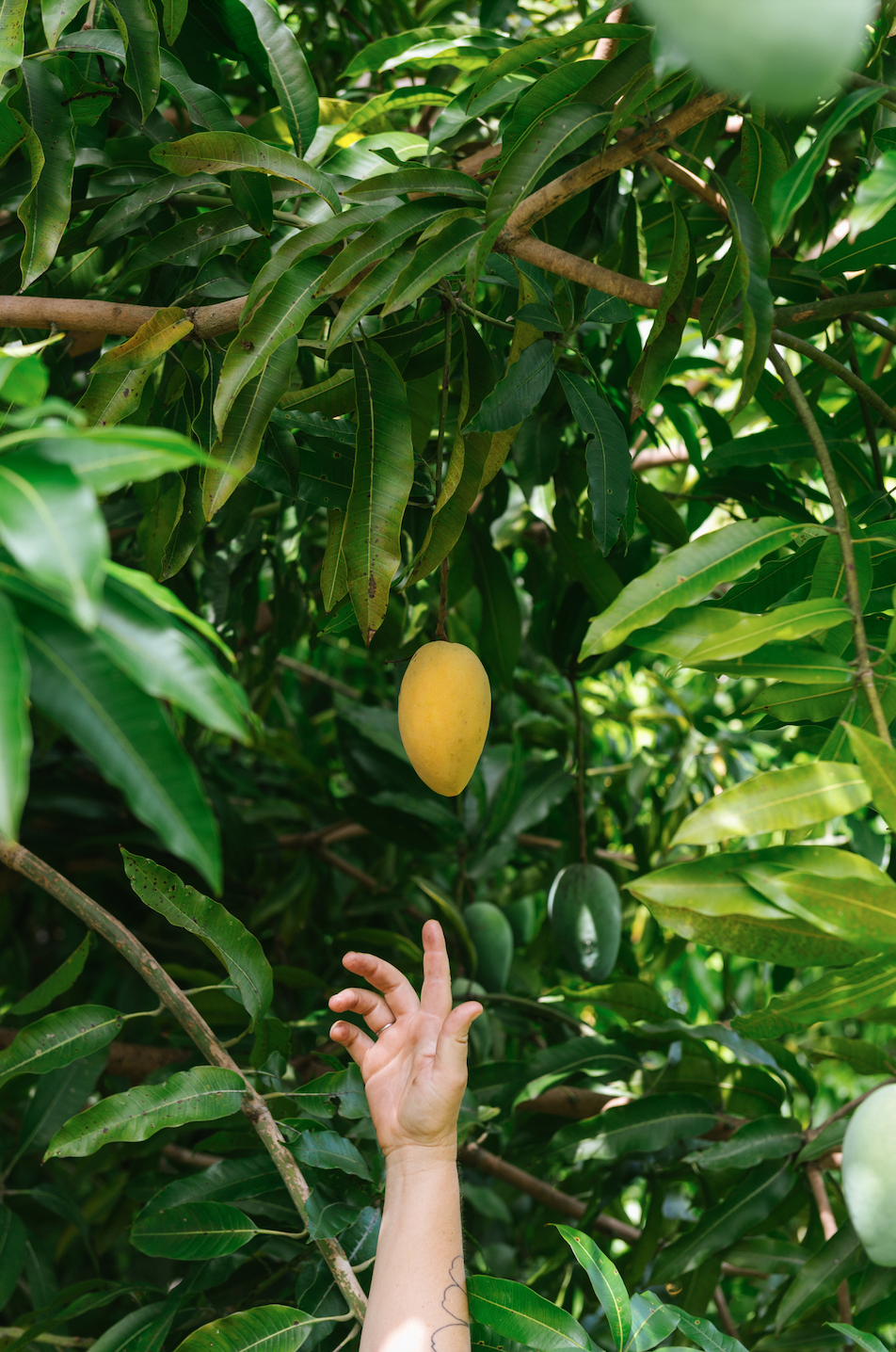 Screenshot 2026-03-30 at 10.13.39 PM.png