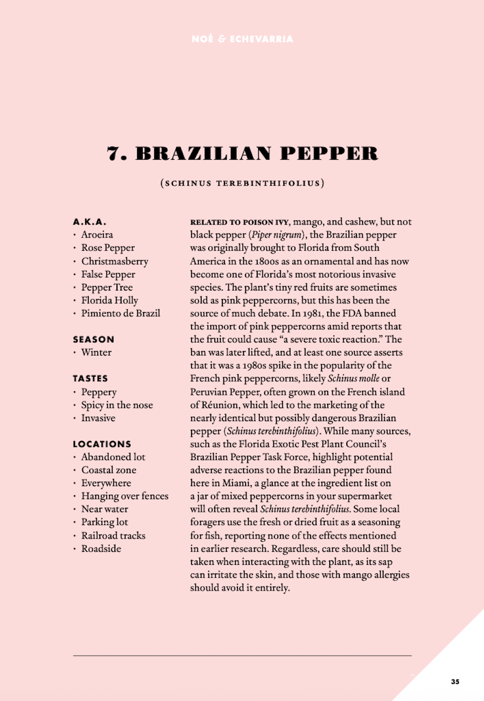 Screenshot 2026-03-31 at 8.50.29 PM.png