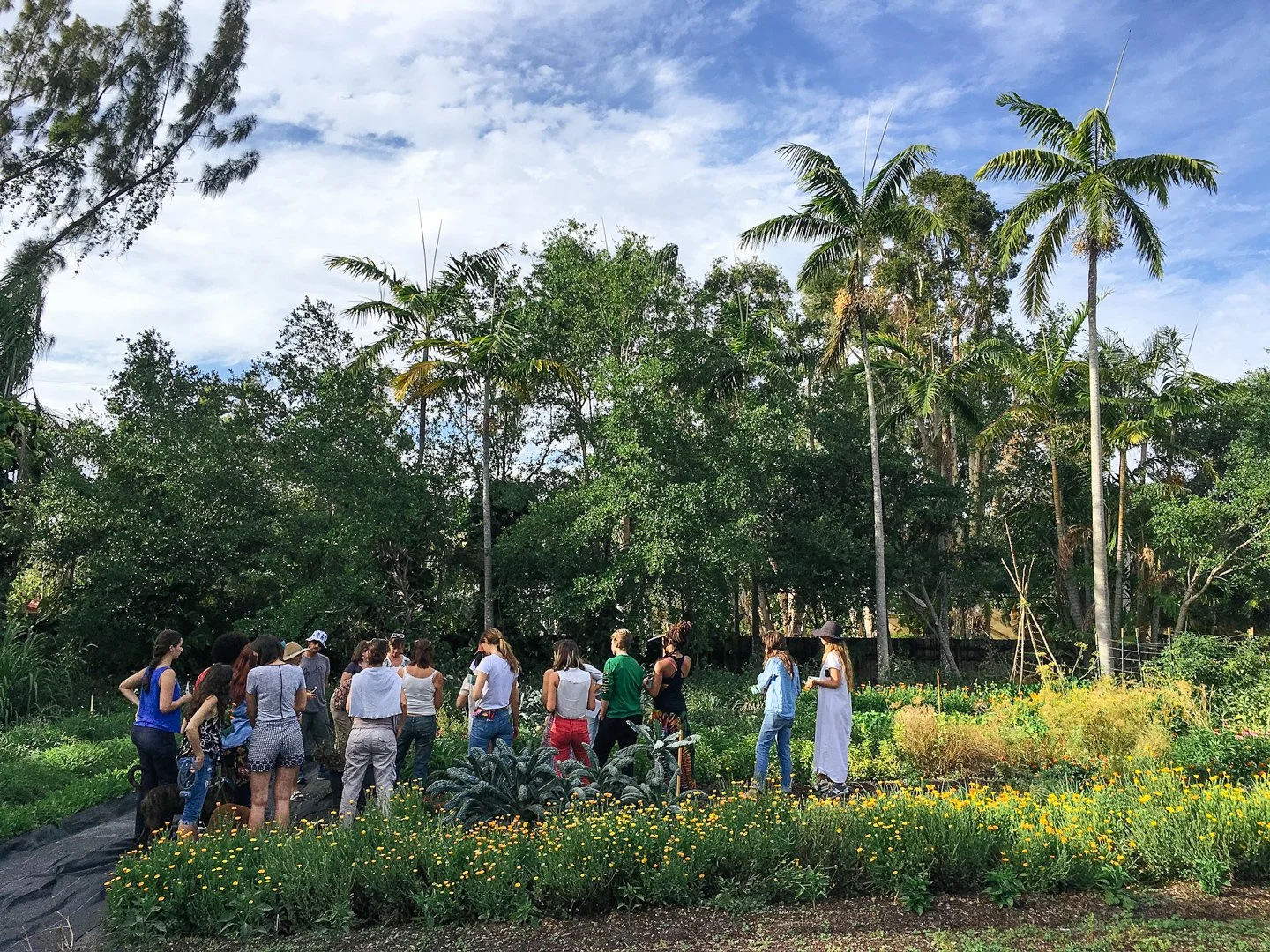 north miami urban farm little river cooperative 01.jpg