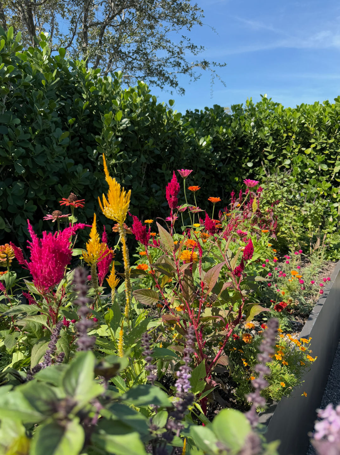 Screen Shot 2025-07-30 at 12.26.29 PM.png