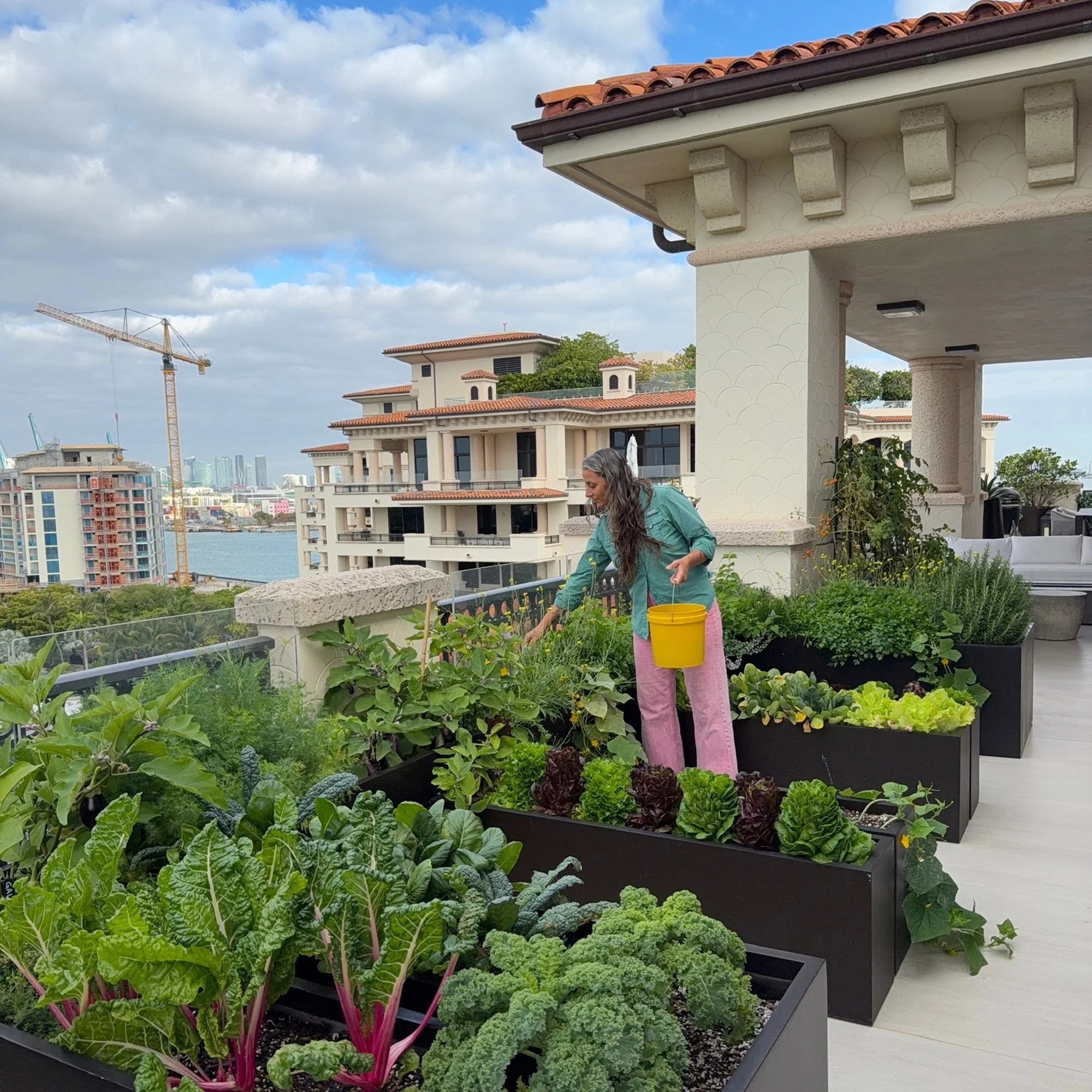 lrc-garden-05.jpg