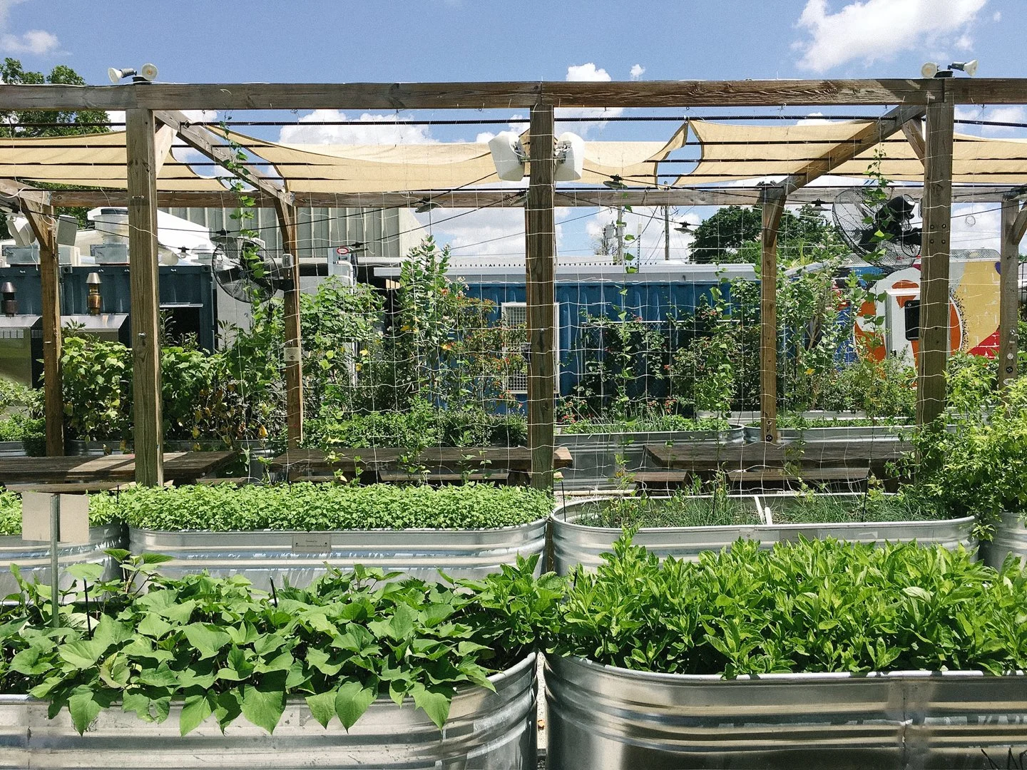 wynwood yard kitchen garden dining area stocktank planters.jpg