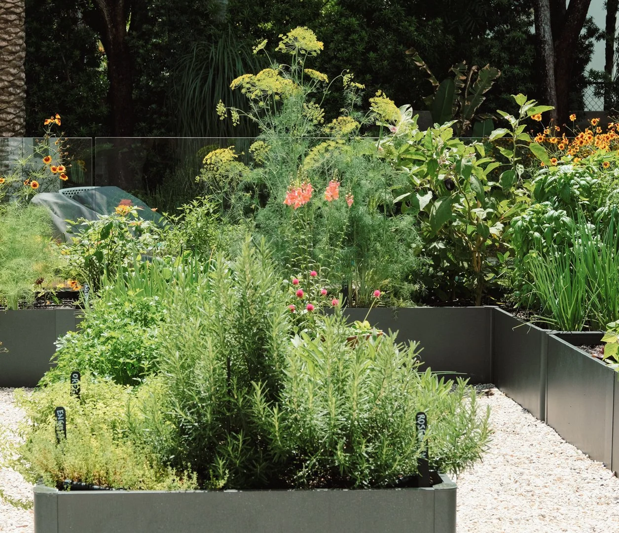 landscape-design-vegetable-garden-south-beach-detail.jpg
