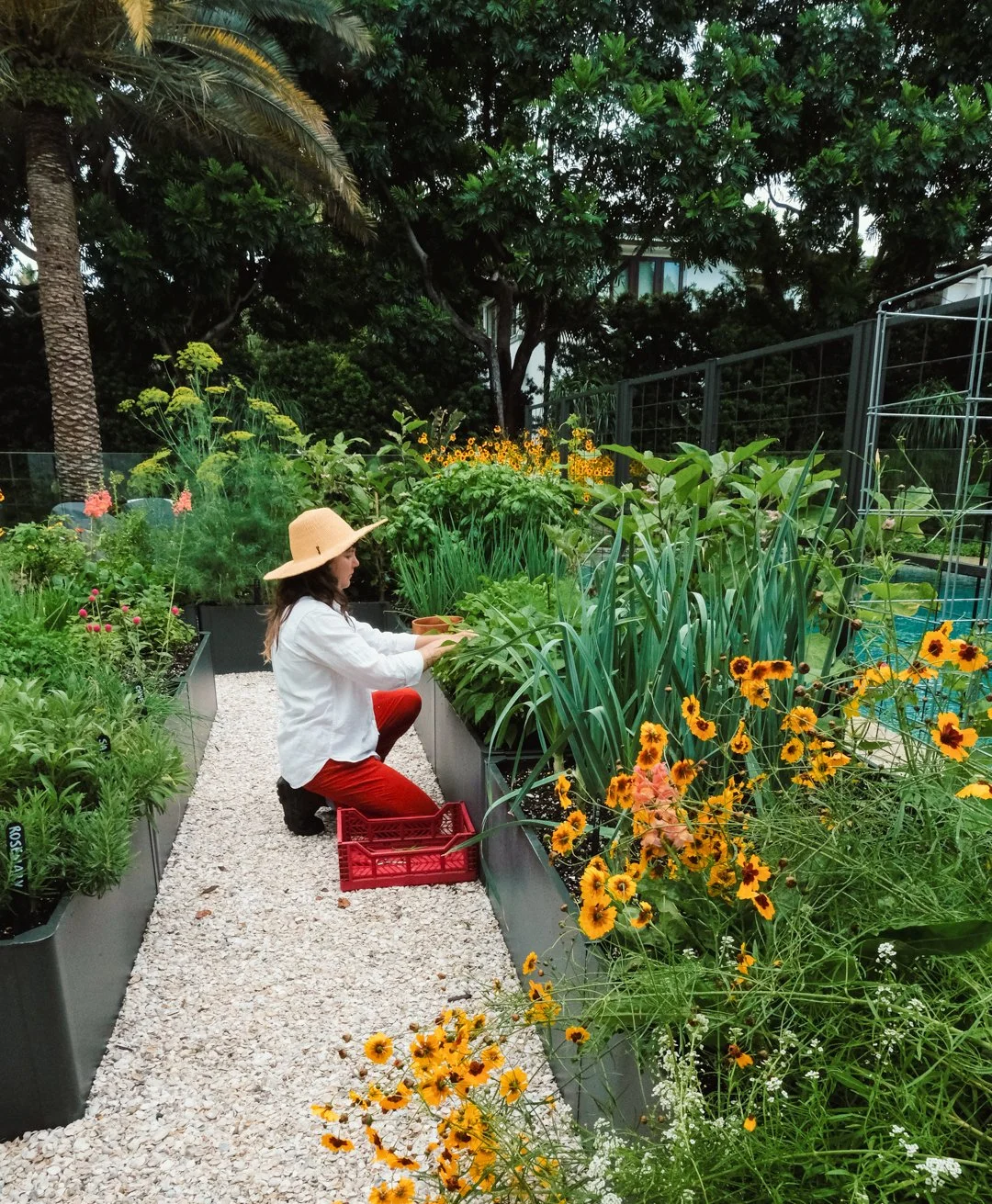 landscape-design-vegetable-garden-south-beach-maintenance-visit.jpg
