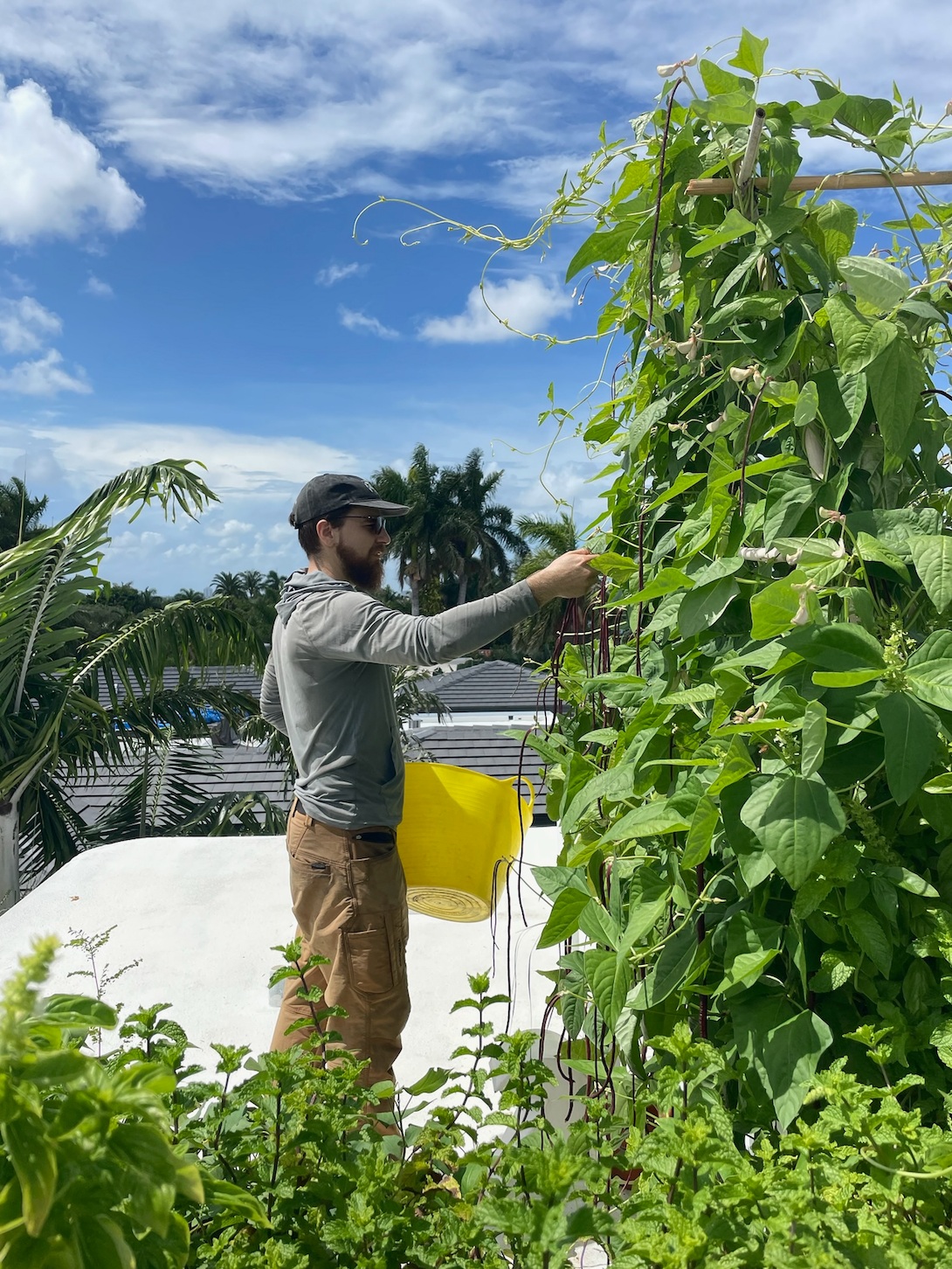 Screen Shot 2025-09-16 at 12.03.54 PM.png