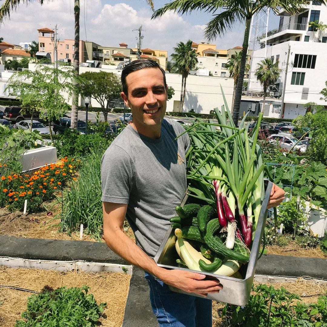 planta restaurant edible green roof kitchen garden south beach.jpg